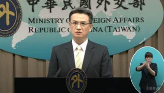 台灣再現納粹符號 外交部表遺憾：籲遵守文明世界規範