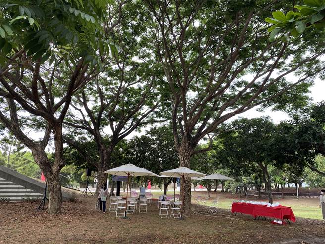 台南特色公園植栽豐富，未來親子將徜徉在樹下遊憩。（曹婷婷攝）