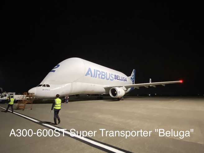 「大白鲸」首度来台，华丽现身机会难得。（桃园机场公司提供）