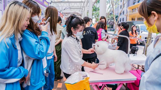 明新科大推企业订单式教学，宠物美容业者现场示范毛小孩的剪毛美容教学。（罗浚滨摄）