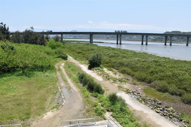 竹南镇公所规画在塭内湿地低度开发设置湿地公园。（谢明俊摄）