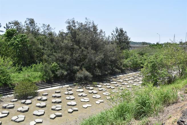 竹南镇塭内湿地杂木丛生不利民眾亲近休憩。（谢明俊摄）