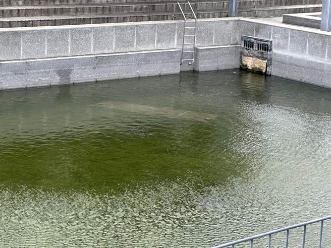 台东涌泉公园近年水位持续下降。（蔡旻妤摄）