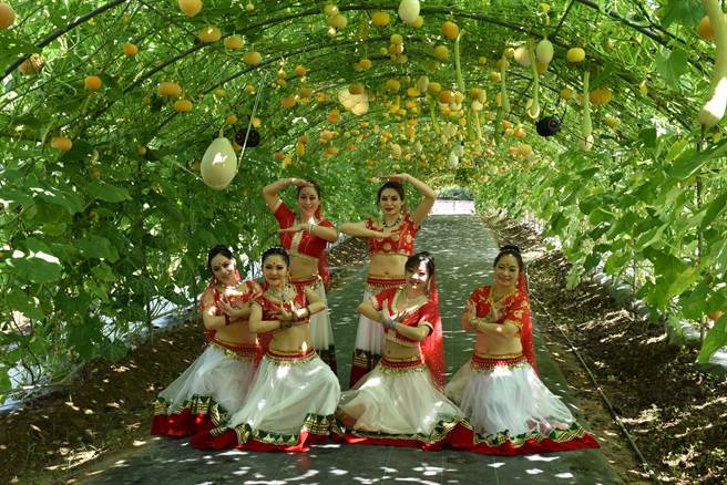 苗栗县造桥乡南瓜季开锣了，苗栗县长锺东锦欢迎大家来造桥赏南瓜吃南瓜。（谢明俊摄）