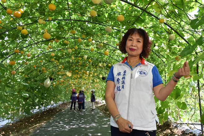 苗栗县造桥乡南瓜季开锣了，苗栗县议员廖秀红欢迎大家来造桥赏南瓜吃南瓜。（谢明俊摄）