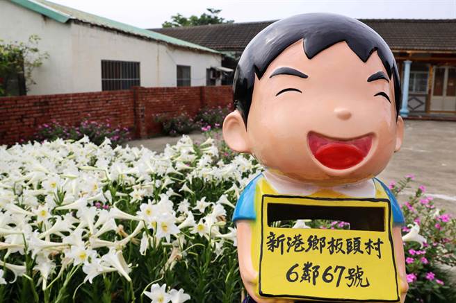 百合花叢與古樸老厝相輝映，搭配特色小童信箱，吸引眾多遊客專程前往打卡、拍照。（呂妍庭攝）