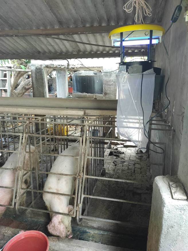 高雄10日出现今年全台首例本土日本脑炎确诊个案，确诊对象为居住于路竹区的50多岁男性，近期无国外旅游史及动物接触史。（高市府卫生局提供／洪浩轩高雄传真）