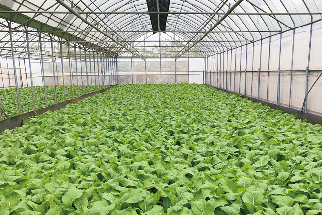 食安园区健康农场。(图／台湾房屋提供)