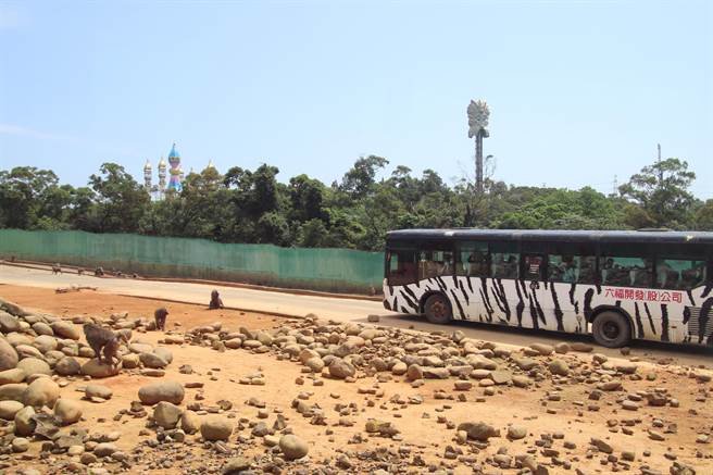 林务局率专家10日到六福村复查狒狒区管理改善状态。（邱立雅摄）