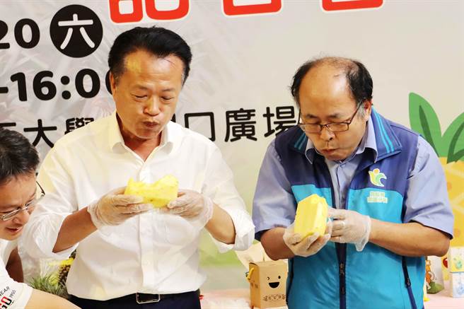 嘉义县长翁章梁、农粮署南区分署长罗正宗大口吃凤梨，说在地农民种植凤梨技术高超，目前吃嘉义产的凤梨「正着时」。（吕妍庭摄）