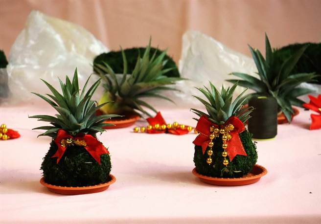 凤梨不但好吃还能制作疗癒小物「凤梨水苔球」。（吕妍庭摄）