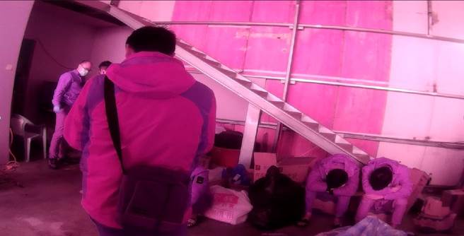 屏東警方破獲大宗毒品案， 28歲林姓男子夥同3名小弟在嘉義縣東石鄉一處玉米田承租鐵皮屋製出市值6、7億的毒品。（警方提供／謝佳潾屏東傳真）