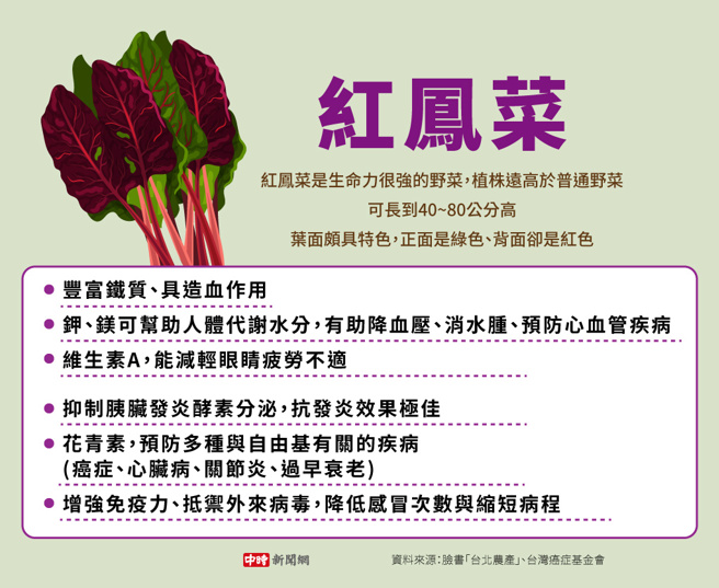 红凤菜(制图/陈友龄)