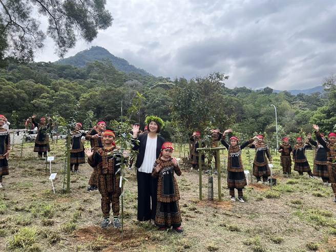 屏东县长周春米选在母亲节前夕11日携手族人将60株台湾特有种植物「武威山乌皮茶」种回玛家乡，让它落叶归根。（谢佳潾摄）