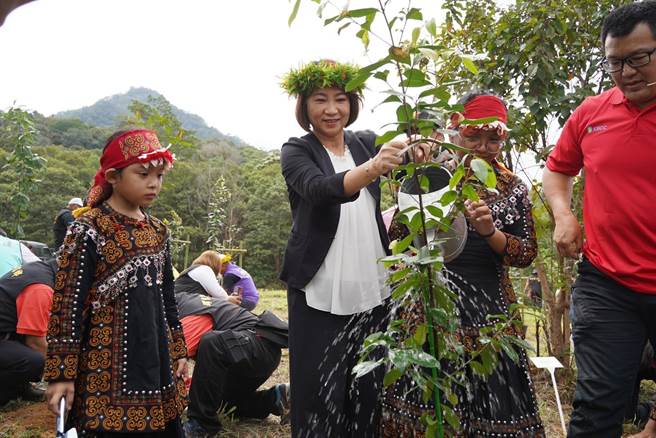 屏东县长周春米选在母亲节前夕11日携手族人将60株台湾特有种植物「武威山乌皮茶」种回玛家乡，让它落叶归根。（谢佳潾摄）