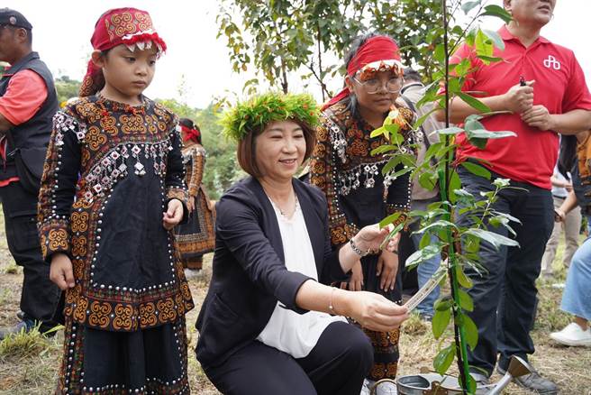 屏东县长周春米选在母亲节前夕11日携手族人将60株台湾特有种植物「武威山乌皮茶」种回玛家乡，让它落叶归根。（谢佳潾摄）