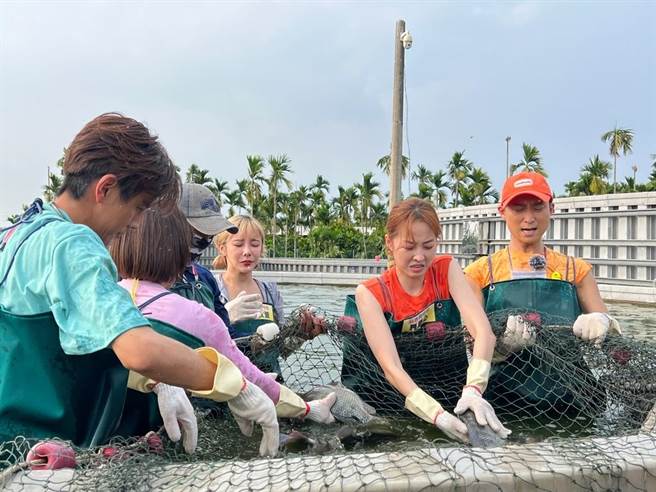 浩子（左起）、夏语心跟眾人体验养殖吴郭鱼。（民视提供）