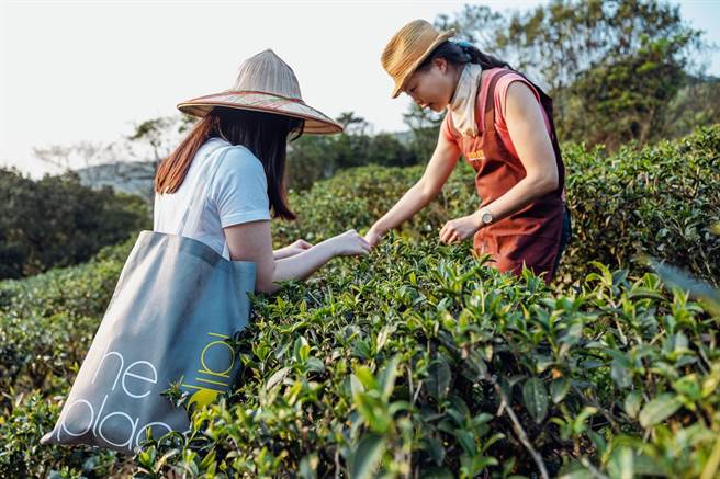 2023「老爷式旅行」住宿搭配独家游程，双人成行每晚最低2699元起。（老爷酒店集团提供）