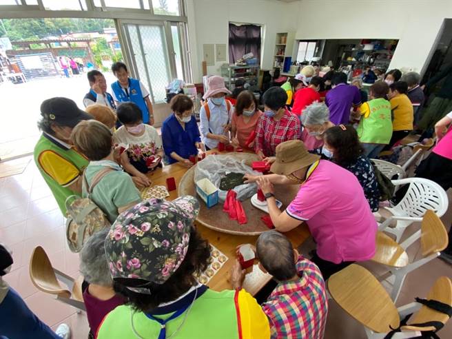 苗栗县卫生局与头份市卫生所12日安排长辈在日新茶园体验制茶。（头份市卫生所提供／谢明俊栗传真）