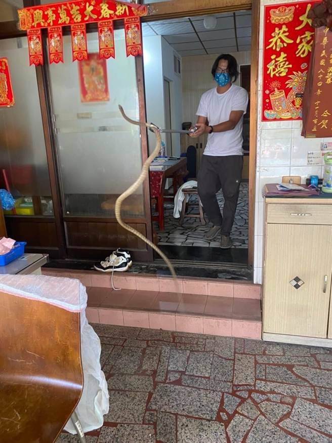 国民党高市议员李雅静12日前往议会参加农林部门质询，她提及日前多次发现蛇类现身，让许多人相当恐慌，希望高市府农业局加强公共场域巡检。（李雅静提供／洪浩轩高雄传真）