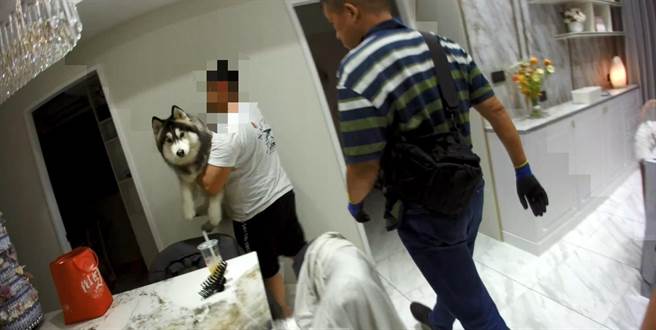 郑嫌佯装遛狗掩饰贩毒。（警方提供）