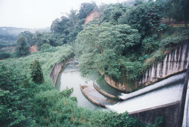 潘阿爱的弃尸地点(本报资料照)