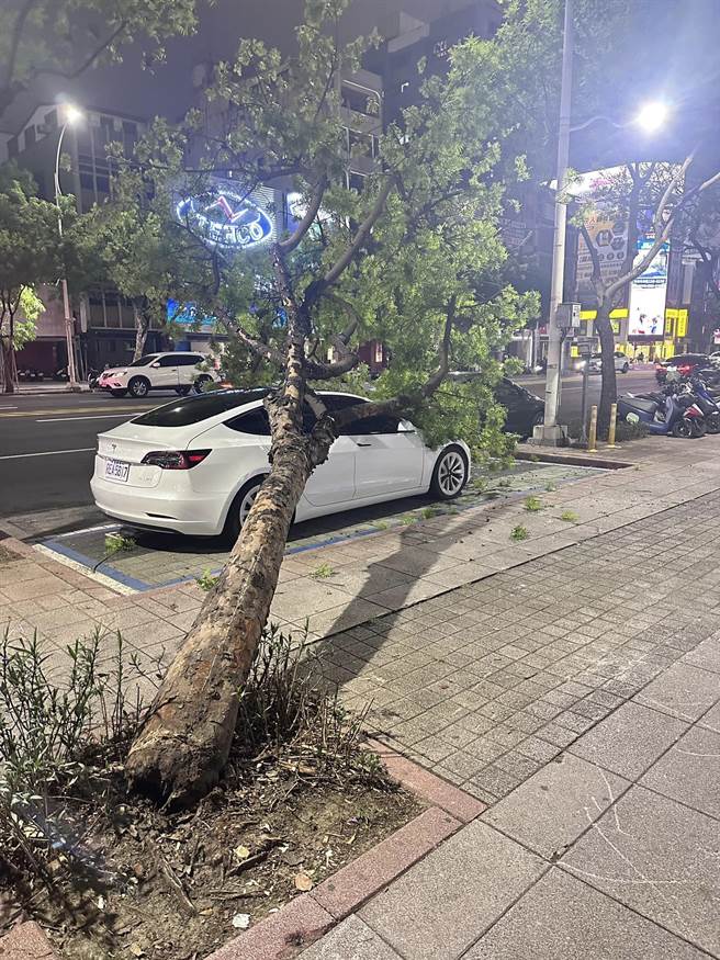 停在路边的特斯拉遭到路树倒塌压毁，网友见状惊呼「拉拉最近需要祭改」。（摘自爆废公社）