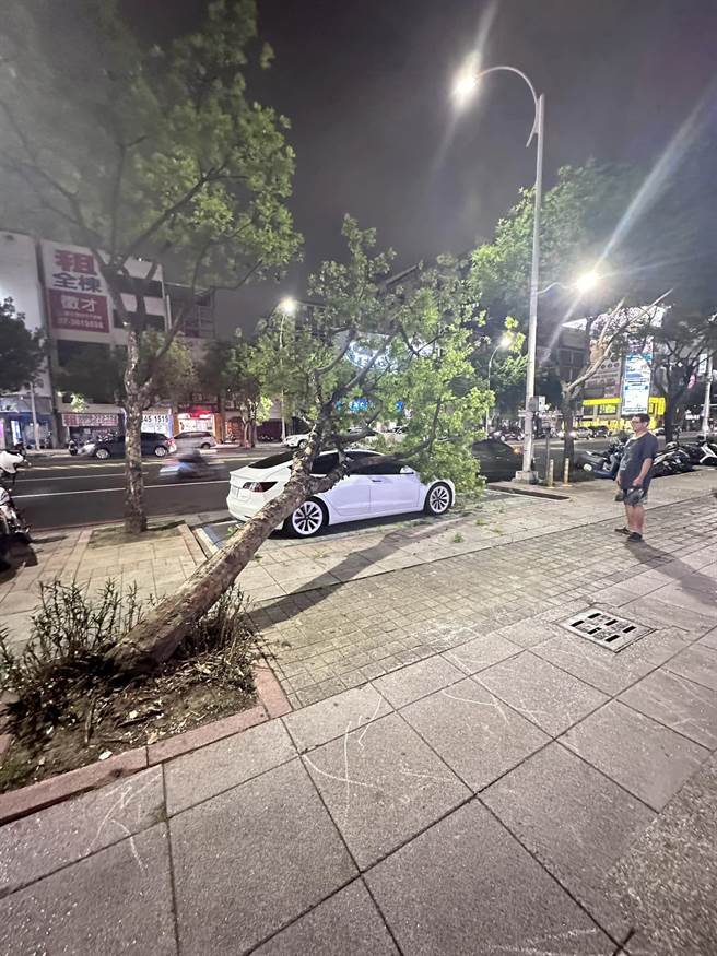 停在路边的特斯拉遭到路树倒塌压毁，网友见状惊呼「拉拉最近需要祭改」。（摘自爆废公社）