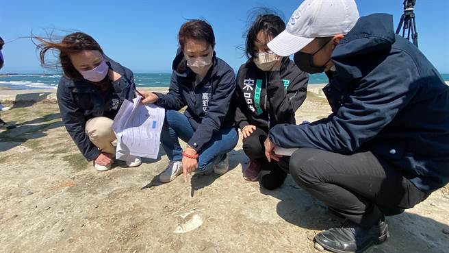 新竹市长高虹安（左二）今年3月间在勘查南寮国际风筝赛场的红火蚁改善状况时，意外发现赛场表层有废磁砖、混凝土残块等废弃物。（陈育贤摄）