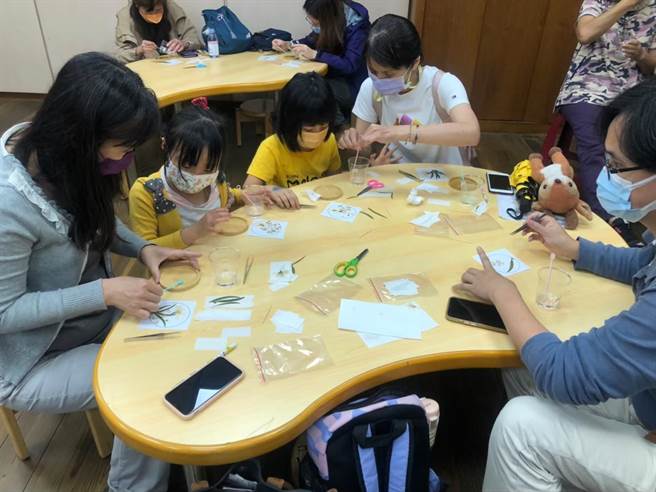 5月三义火炎山相思花开  林务局办相思树下忆乡思活动。（林务局新竹林管处提供／谢明俊苗栗传真）