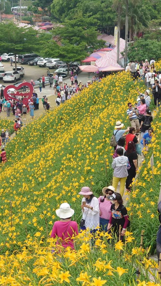 游客涌入彰化县花坛乡虎山巖金针花园区赏花。（陈姓游客提供／孙英哲彰化传真）