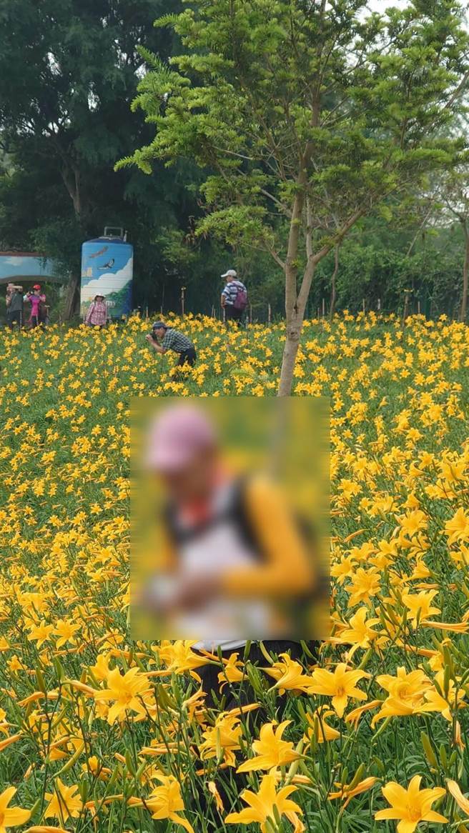 不少游客闯进金针花田里拍照。（陈姓游客提供／孙英哲彰化传真）