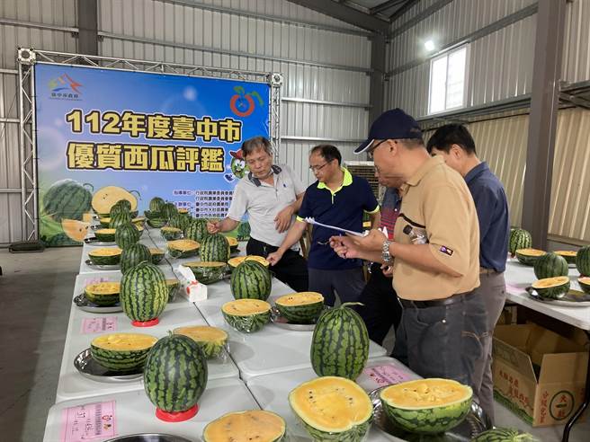 中市大肚区农会13日举办台中市优质西瓜评鑑活动。（台中市农业局提供／陈淑芬台中传真）