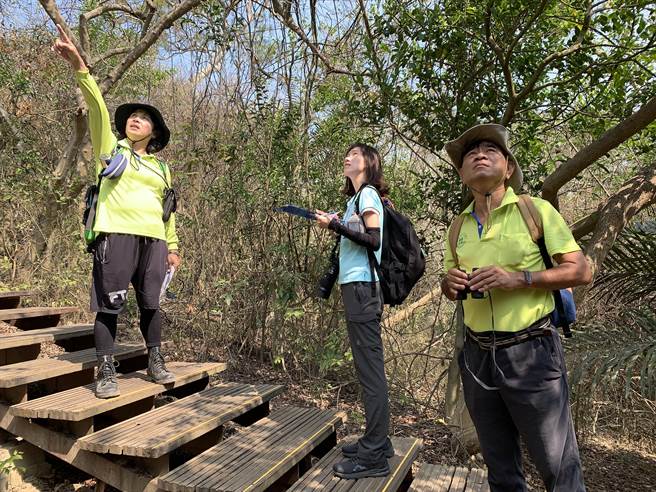 透过物候调查，可以看出高雄郊山植物的生长趋势和环境变迁。（自管处提供／袁庭尧高雄传真）