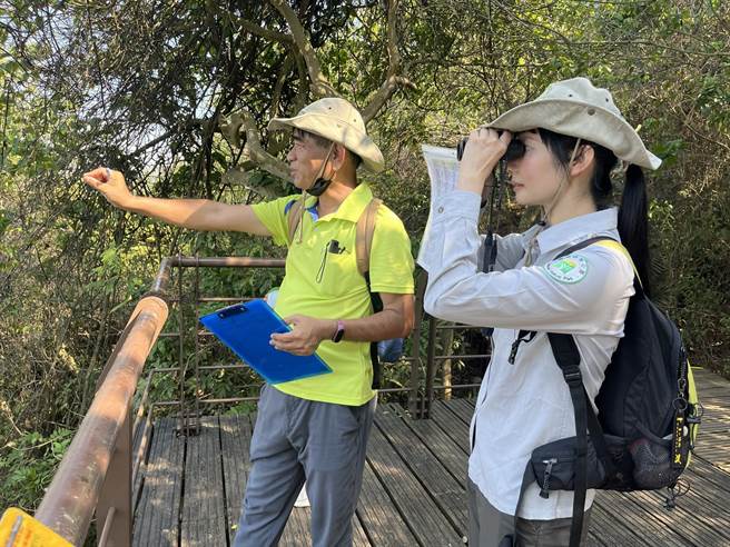 透过物候调查，可以看出高雄郊山植物的生长趋势和环境变迁。（袁庭尧摄）