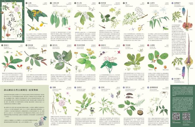 「花现寿山」掌上型植物图鑑，游客可搭配APP，迅速找到柴山、半屏山、龟山、旗后山步道沿线正在开花的特色植物。（自管处提供／袁庭尧高雄传真）