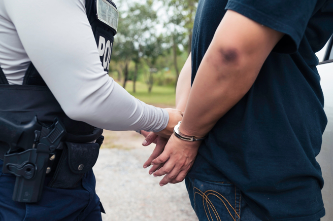 高雄一名男子当街遛鸟，遭到移送法办。（示意图／Shutterstock）