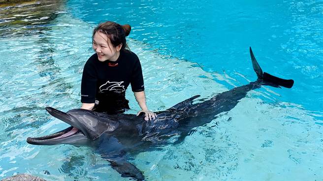 遊客透過和海豚的親密接觸認識海豚與了解海洋養護保育的重要。(陳韻萍攝)