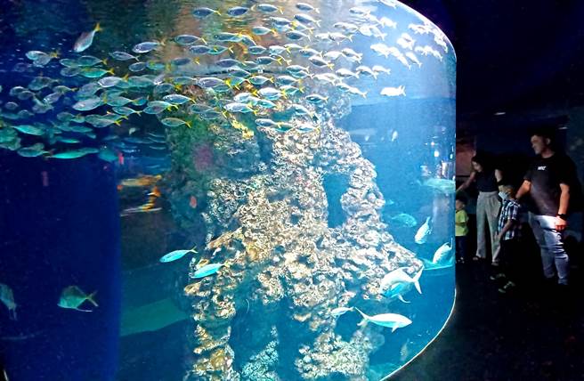「S.E.A.海洋館」是世上最大的海洋館之一，超過10萬多種的海洋生物一次看個夠。(陳韻萍攝)