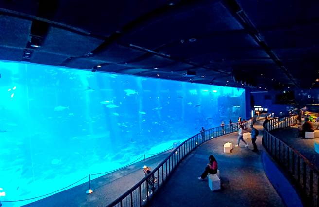 「S.E.A.海洋館」最「大」亮點為一座長36 公尺、高 8.3 公尺的巨大水族觀景窗。(陳韻萍攝)