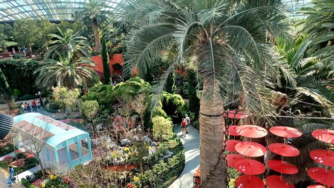 「滨海湾花园」是星国最具代表姓的地标之一，也是最美的城市园林。（陈韵萍摄）