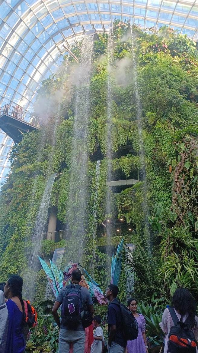 「云雾森林」中高达6公尺的室内瀑布倾泻而下，是必拍热区。（陈韵萍摄）