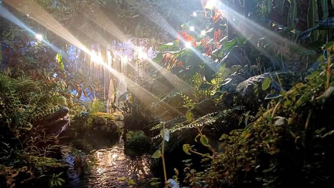 「云雾森林」里苍翠茂盛的雨林和阔叶植物，让人有一种置身热带雨林的真实感。（陈韵萍摄）