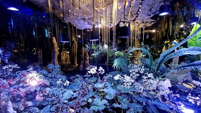 电影「阿凡达2：水之道」与滨海湾花园联名合作，把「云雾森林」打造成如梦境般奇幻的潘朵拉星球。（陈韵萍摄）
