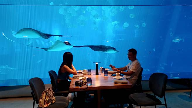 「海之味水族餐厅」以超巨大水族缸打造的墙面很吸睛。(陈韵萍摄)