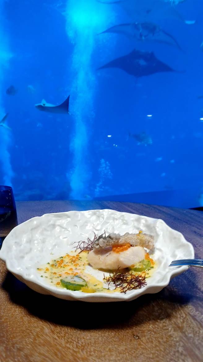 「海之味水族餐厅」供应法式料理，强调自然和健康的海洋风味。(陈韵萍摄)