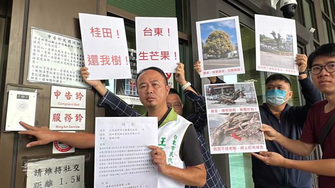 台东市1棵树龄逾80年的老芒果树，近日遭粗暴砍伐，台东市民代表王泰捷今天按铃提告。（蔡旻妤摄）