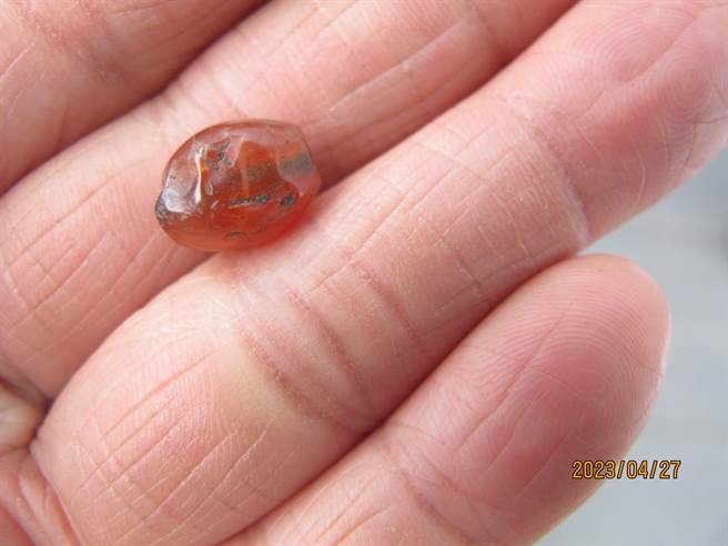 花莲崇德考古遗址近日出土台湾史前未生产的玻璃环残件、玛瑙珠，甚至还有900年前的宋朝铜币等物，显见该地区史前便与海外有频繁交流；图为玛瑙珠。（花莲县文化局提供／罗亦晽花莲传真）