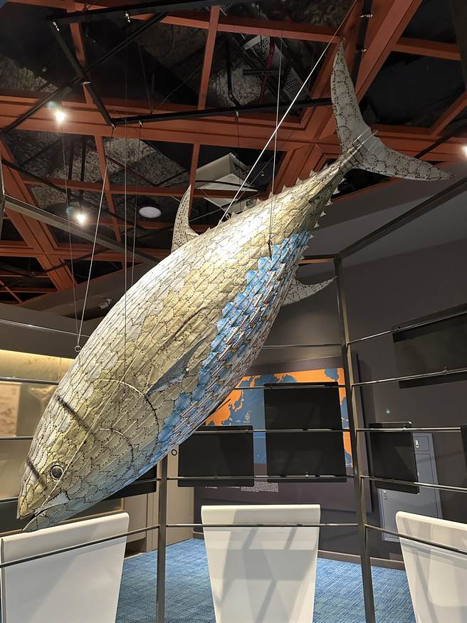 史前馆邀请阿美族艺术家范志明以鲔鱼罐头打造1只太平洋黑鲔鱼《沙西米》。（国立台湾史前文化博物馆提供／蔡旻妤台东传真）