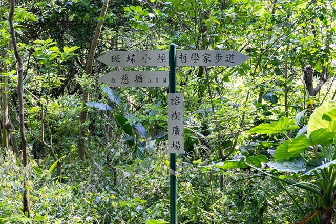 蝴蝶园里有许多小路可以散步赏蝶。（翻摄自清华脸书／陈育贤新竹传真）